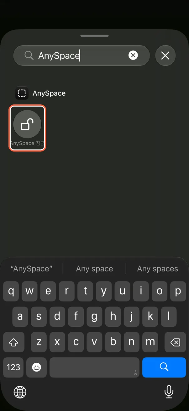 AnySpace 잠금 추가